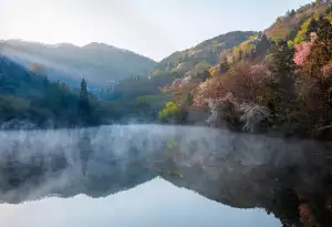 Kolik Je Jeden Dolar Kč