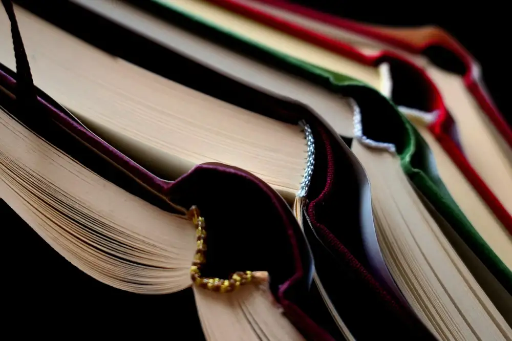 Žurnalistika Studium